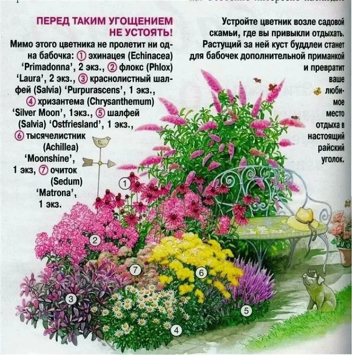 Цветник читать. Клумба из однолетников непрерывного цветения. цветник многолетников непрерывного цветения. схема миксбордера непрерывного цветения. клумба непрерывного цветения из однолетников схема посадки.