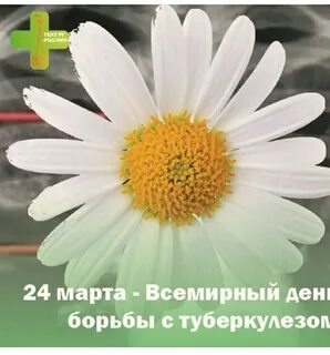 Гбуз борьбы с туберкулезом