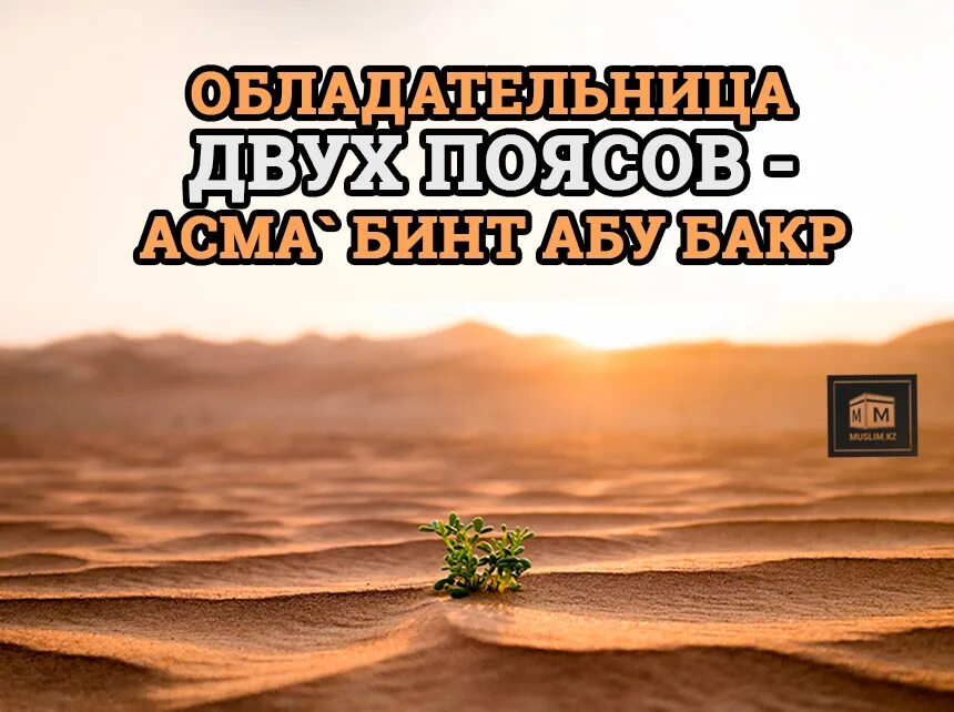 Бинт абу бакр. Асма бинт абу бакр. асма дочь абу бакра. асма дочь абу бакра история. аиша бинт абу бакр нашид.