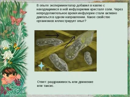 Экспериментатор поместил кристалл