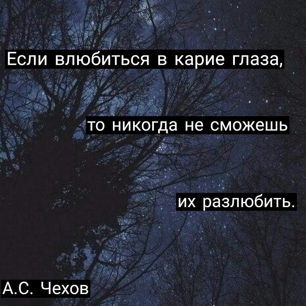 Карие глаза свели меня с ума. В карие глаза влюбляются. Цитаты про карие глаза. Статусы про карие глаза. Фразы про карие глаза.