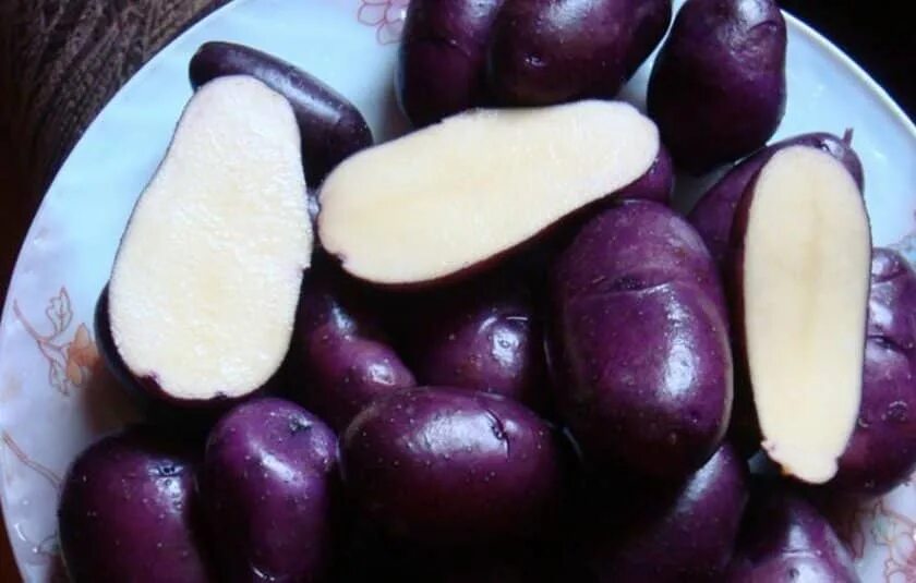 Сорт картофеля чугунка. Сорт картофеля голубой дунай. сорт картошки цыганка. картофель сорт негритенок и цыганка. сорт цыганочка фиолетового картофеля.