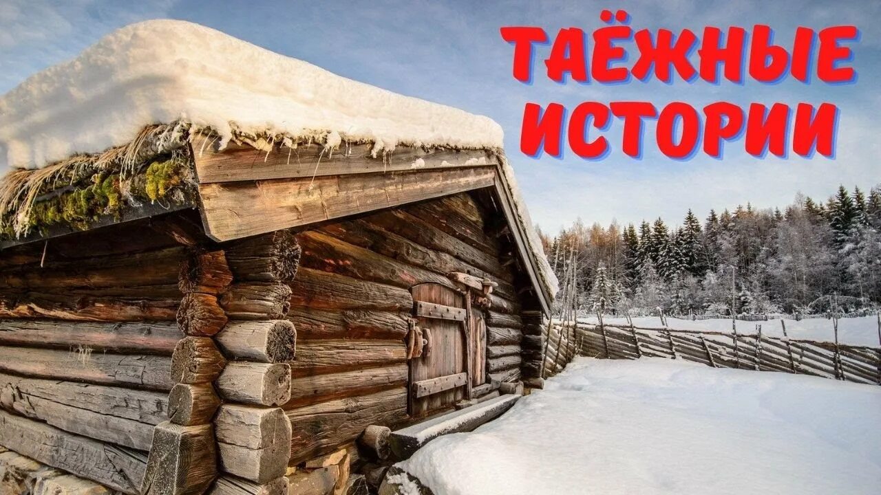 Таежные истории. 4 части. Невыдуманные мистические истории из реальной жизни. Аудио рассказы про тайгу. Книги про тайгу коляныча.