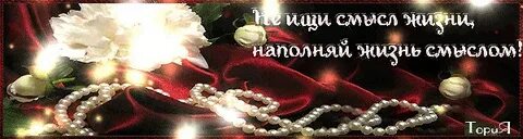 Гифка афоризмы