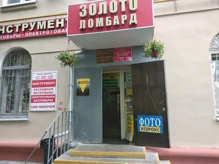 Ломбард кот
