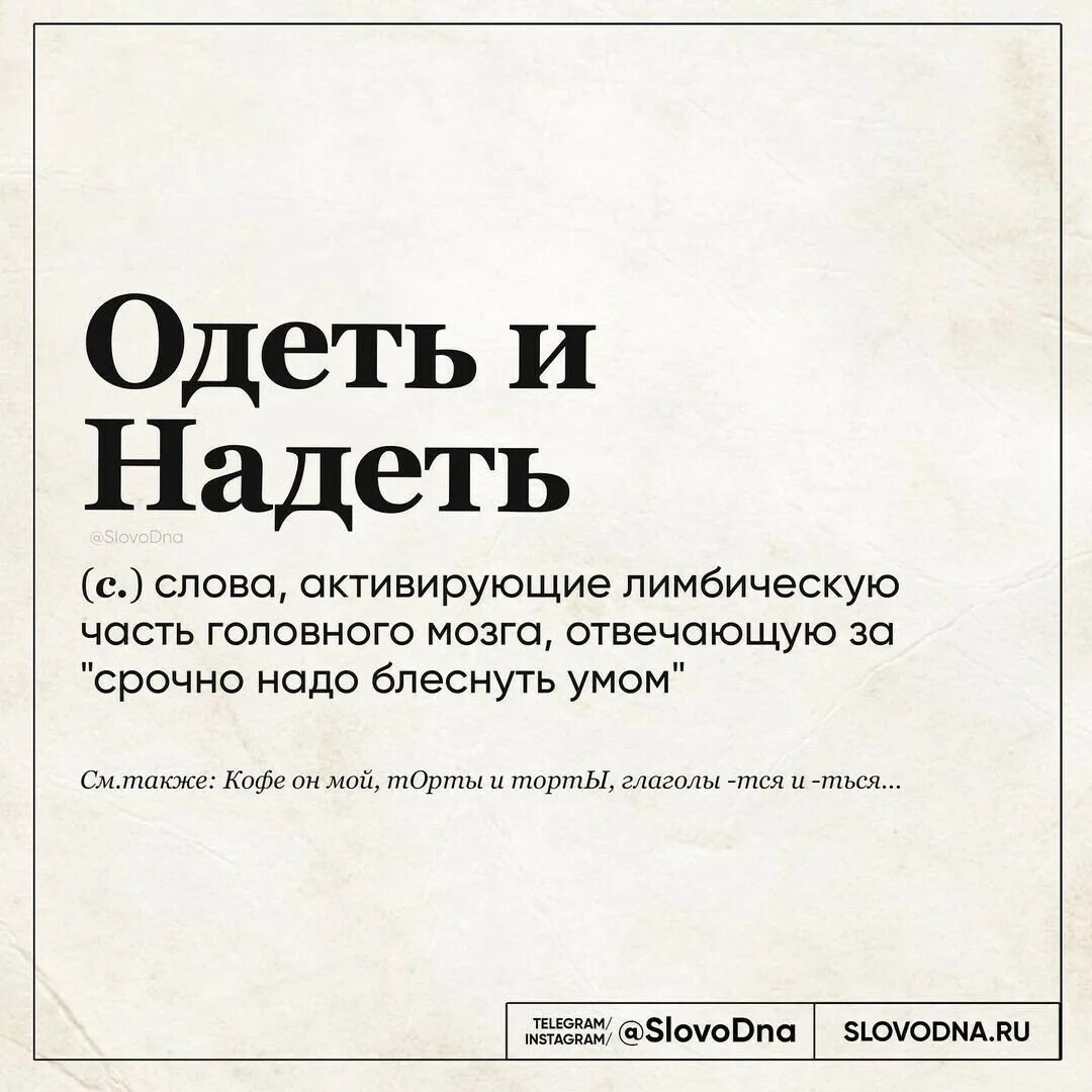Слово дня