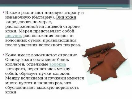 Кожа к дублению 5 букв