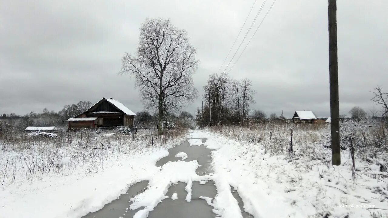 Деревня анисимово новгородской обл фото Деревня Липняги Демянского района Новгородской области
