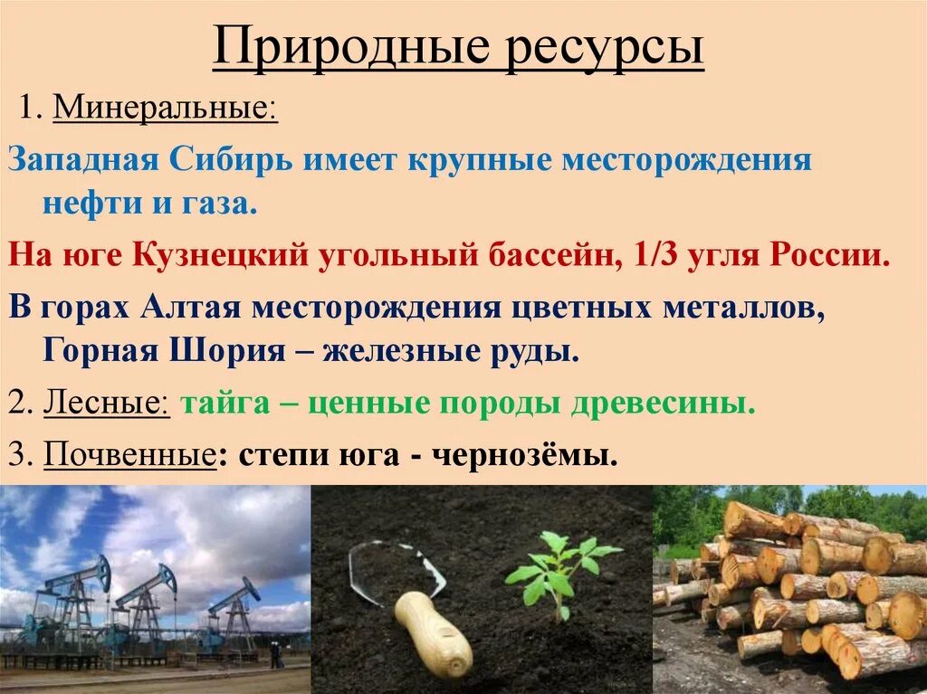 Какими ресурсами богата западная сибирь