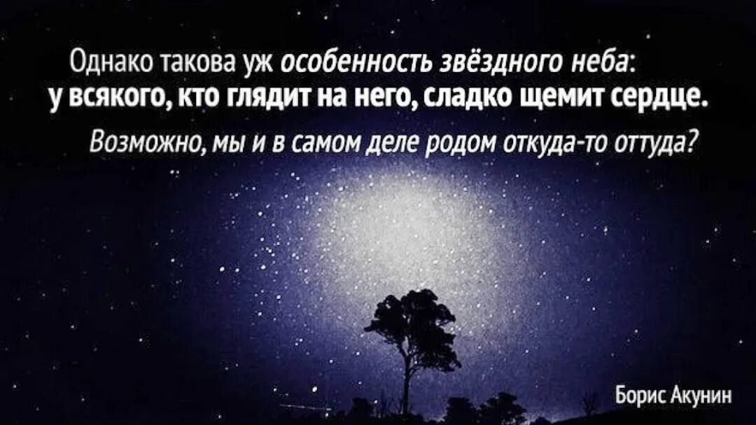 Фразы про звезды. Высказывания о звездах. Афоризмы про звезды. Цитаты про звезды.