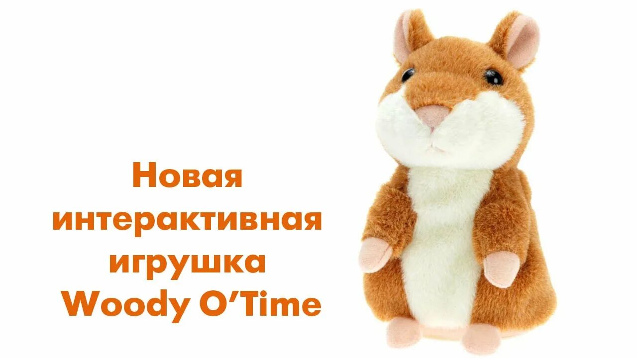 Как играть в игру хомяк повторюшка. Woody o time говорящий хомяк. Игрушка хомяк повторюшка. Хомяк повторюшка серый. Плюшевый говорящий хомяк повторюшка / интерактивная игрушка.