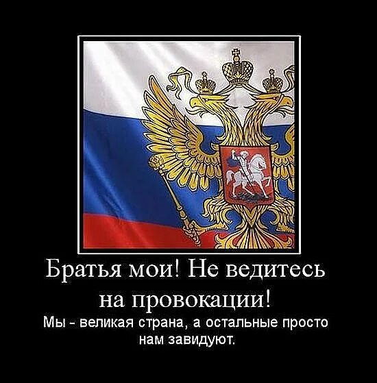 Провокация ты служишь уже год