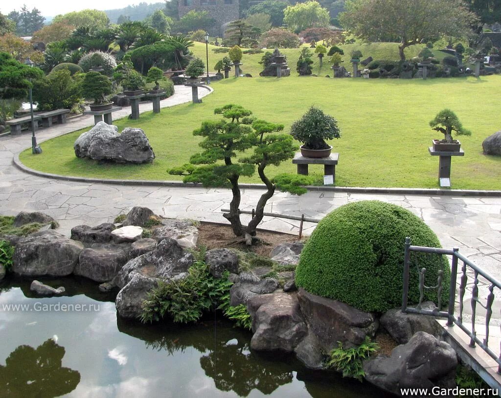 Perfect Japanese Garden in the corner of a yard. Bamboo, lantern, stones. Image 