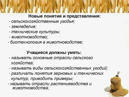Рисосеяние ведущая отрасль растениеводства в