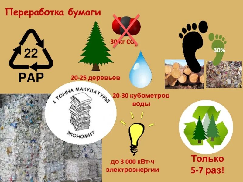 Сколько раз перерабатывают бумагу