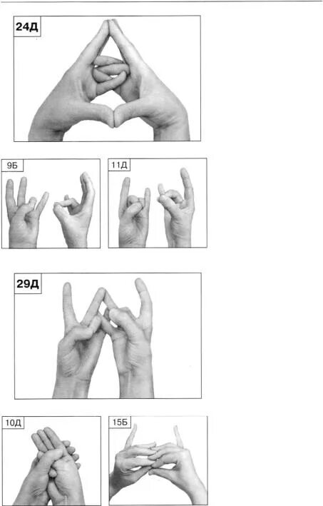 Мудра 24. Мудра парящий Лотос техника выполнения. Мудра лотоса. Мудра для полых органов. Мудра для желчного пузыря.