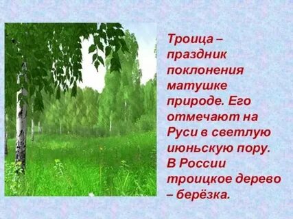 Матушка земля бела березонька