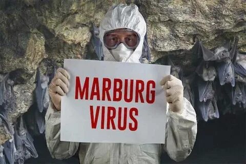 Вирус марбург