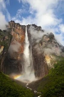 Paradise falls