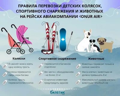 Коляска детская ручная кладь в самолет
