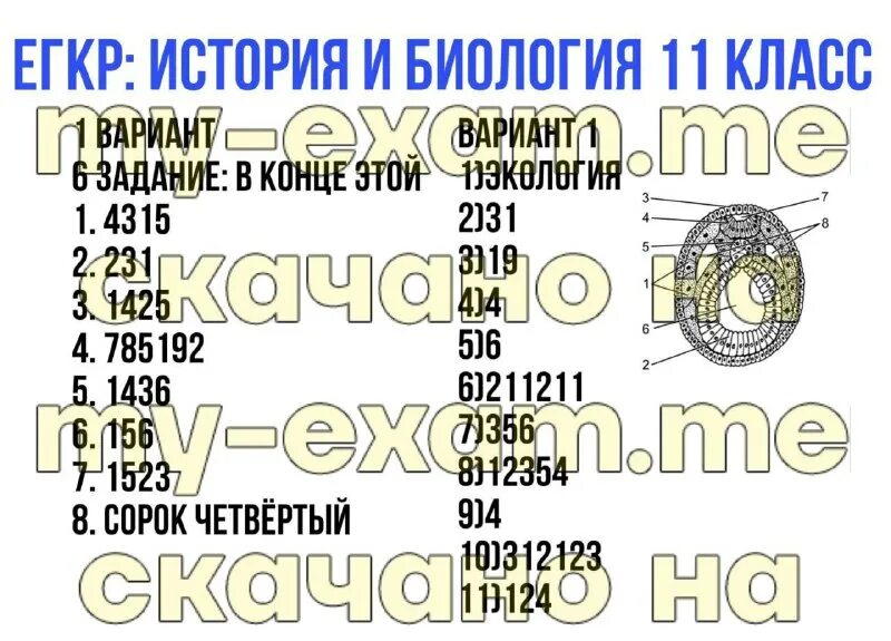 Егкр биология 11 класс 2025. Егкр биология 11 класс 2025