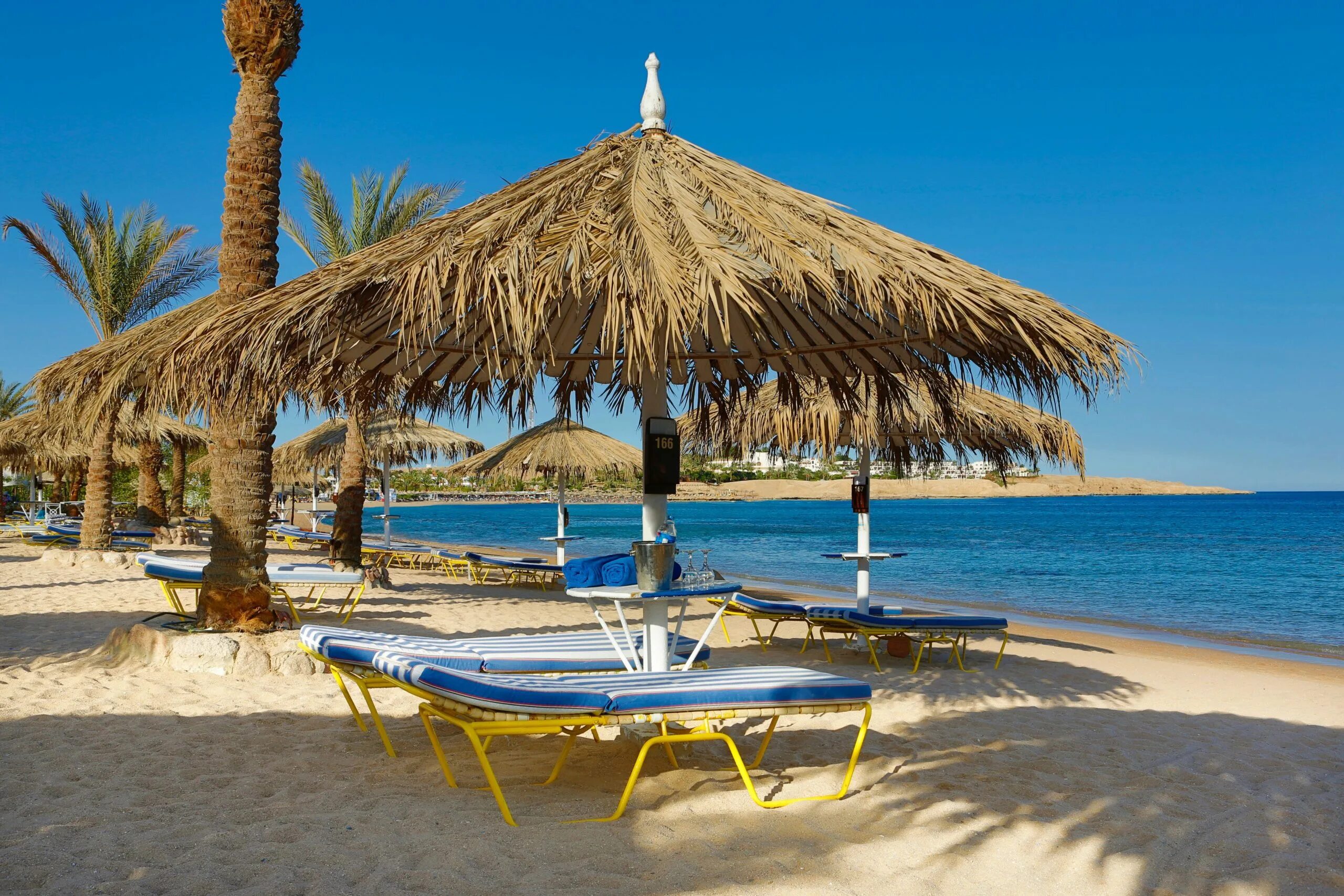 Файруз отель шарм эль шейх. Отель sharm dreams resort 5 шарм-эль-шейх. хилтон файроуз шарм-эль-шейх. египет отель fayrouz resort шарм-эль-шейх. шарм дримс резорт хилтон египет.
