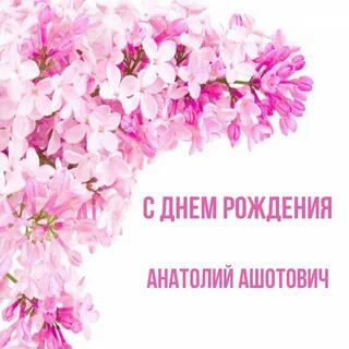 С днем анатолия картинки