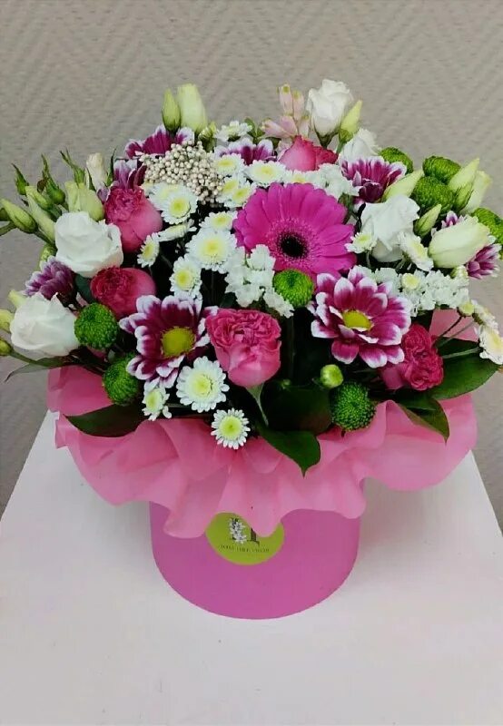 дом цветов рубцовск. стаканчики с гипсофилой. дом цветов рубцовск. дом цветов рубцовск. дом цветов рубцовск.