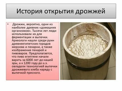 Из чего сделаны дрожжи