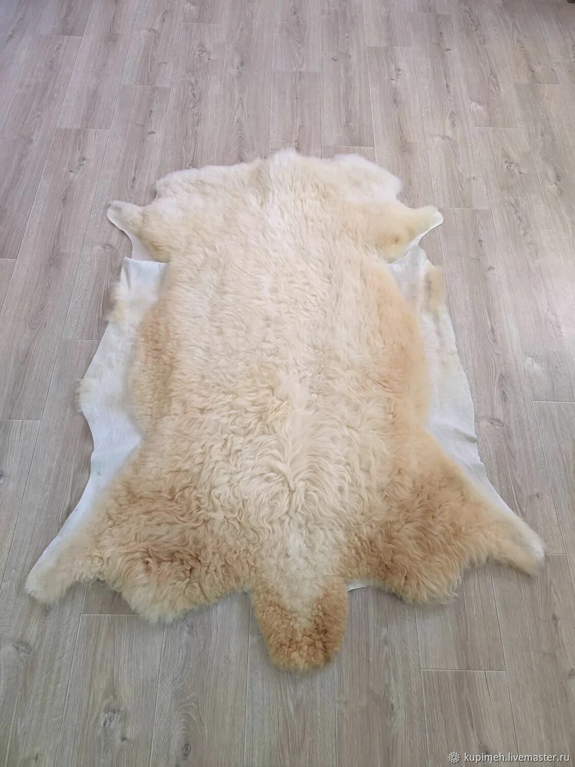 Шкурки меховые выделанные. Выделка овчины. Выделанная овечья шкура. Выделанная овечья шкура. Выделка овчины.
