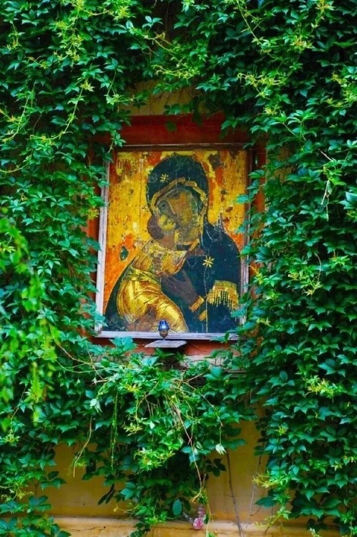 Владимирская икона божией матери в сретенском монастыре. Владимирская икона сретенский монастырь. Владимирская икона задонский монастырь. Новодевичий монастырь иконы монастыря. Владимирская икона божией матери сретенский монастырь.