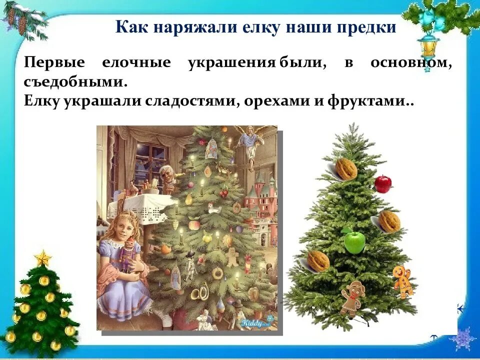 Какого числа наряжать елку. Как наряжали елку наши предки. традиция украшать елку. скоро наряжать елку. украшение елки презентация.