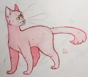 Тела человека кошки