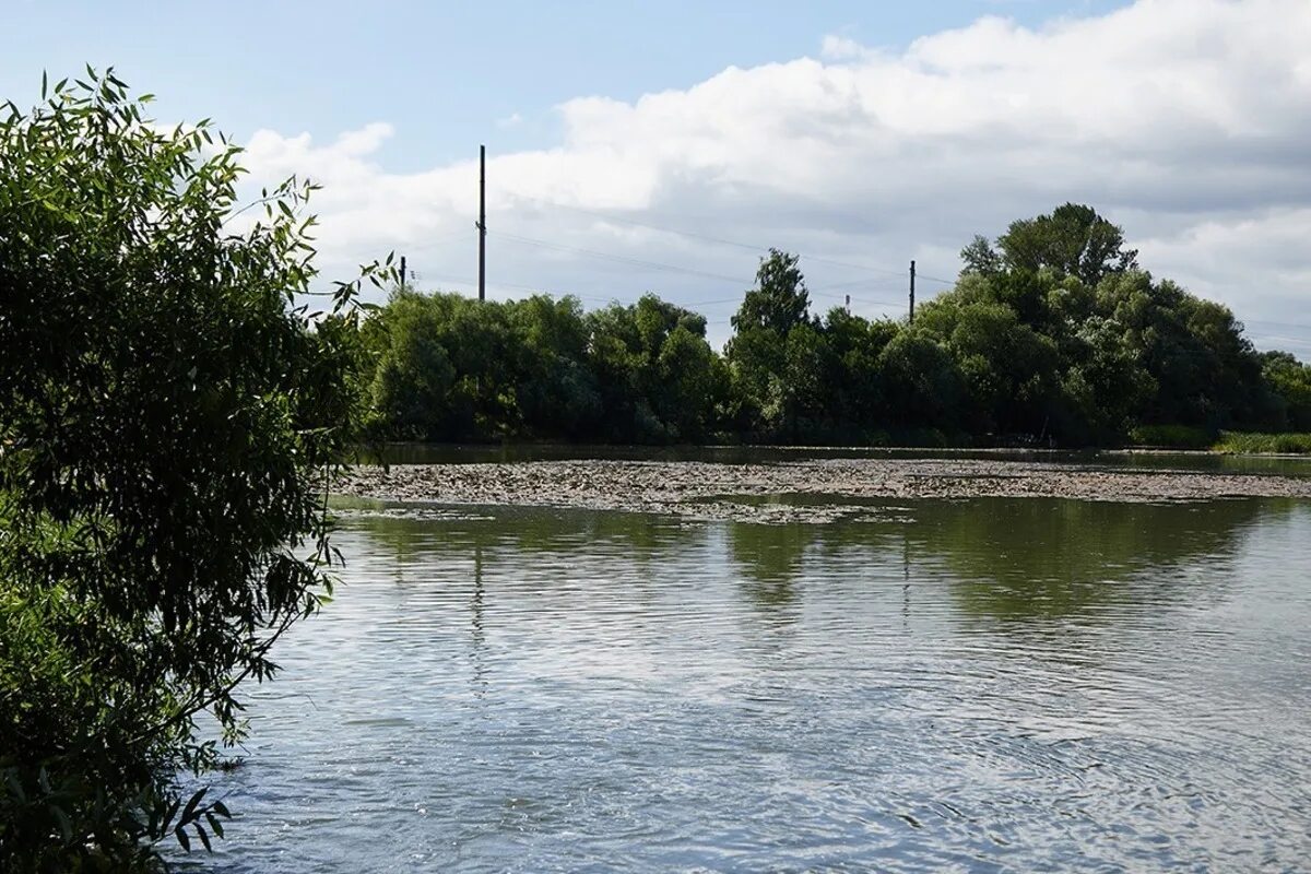 Вода в реке сура. Река Сура Пенза. Река Сура в Пензенской области. Загрязнение реки Сура Пенза. Пенза река кададовка.