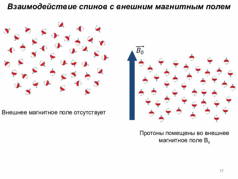 Резонансы магнитном поле. Спиновые схемы. спиновая релаксация в магнитном поле. магнитное взаимодействие спинов. спиновые поля.