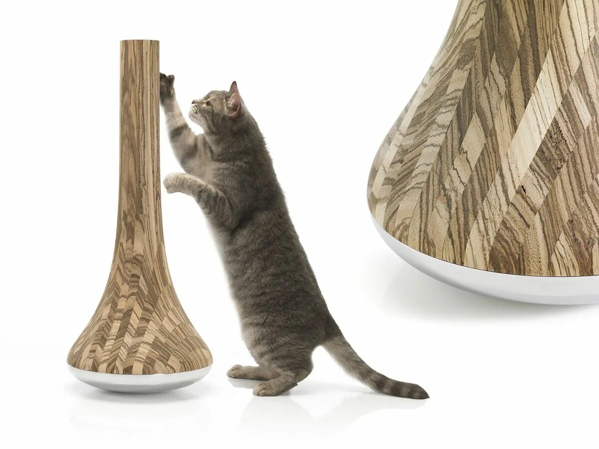 Cat scratcher. Cat scratching. Кот царапает мебель. Кошка дерет мебель Растровая Графика. Scratching me Cat.