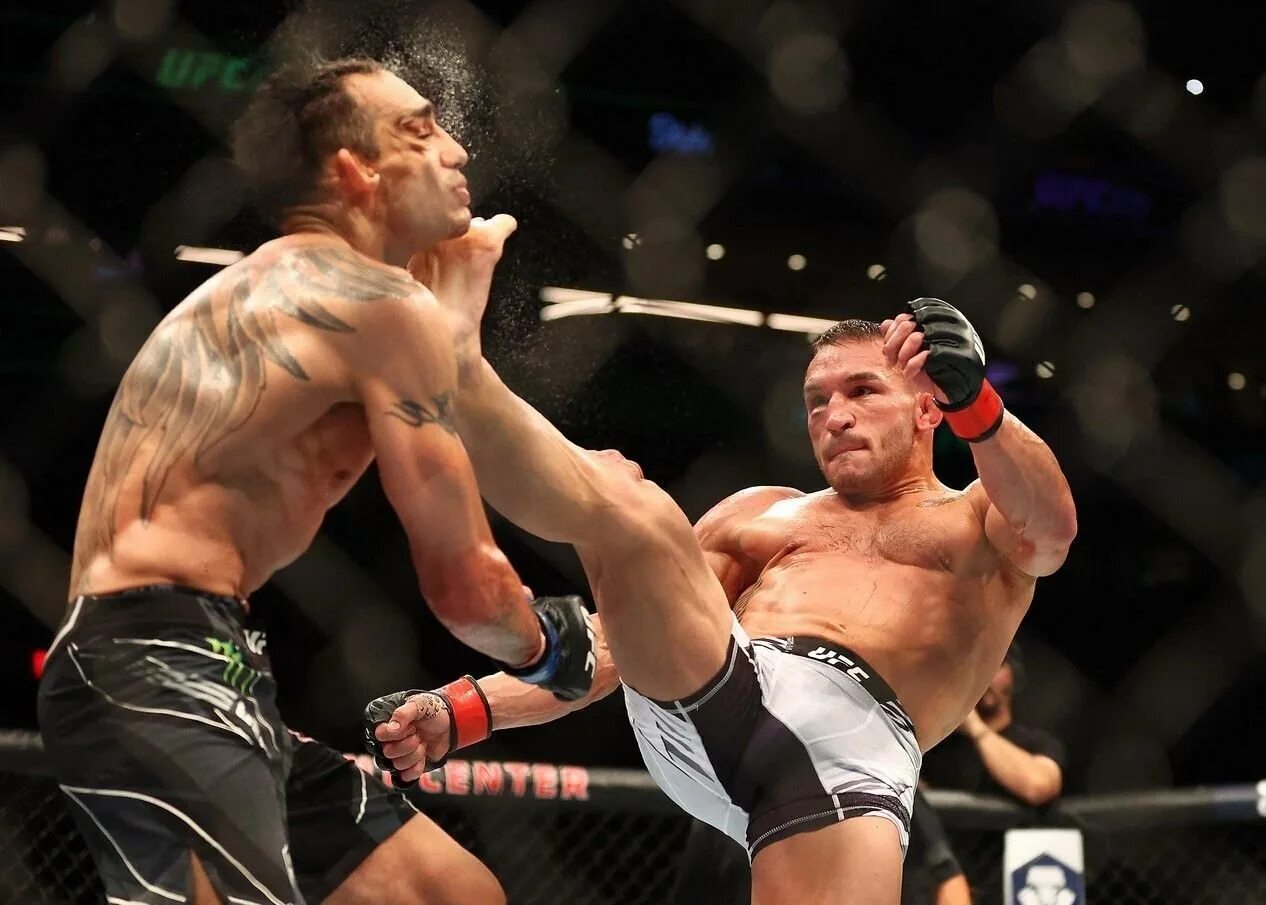 Боец юфс тьяго сантос фото. Последние бой играть. Фергюсон чендлер фронт кик. Последние бой играть. Анатолий токов боец.