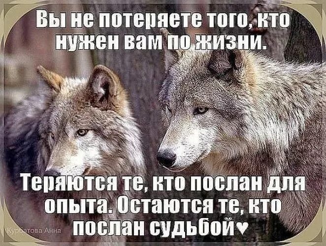 Остаются те кто послан нам судьбой. Теряются те кто послан вам для опыта. Теряются те кто послан нам для опыта остаются те кто послан. Кто послан вам для опыта. Тот кто боится людей 8 букв