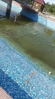 Саяногорск главный
