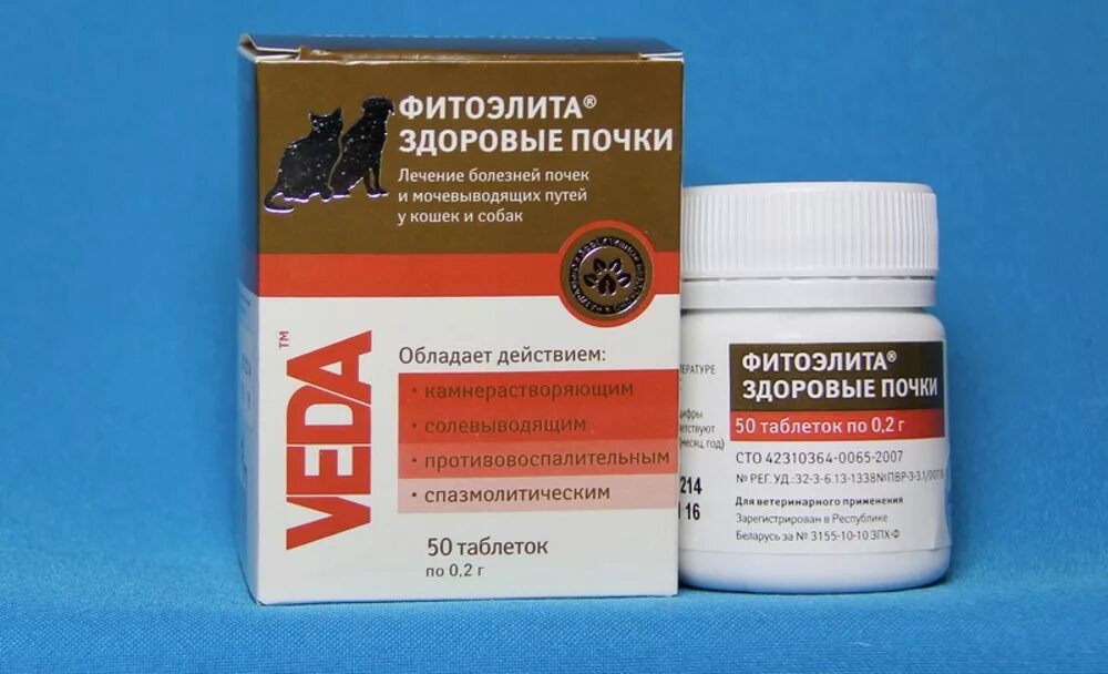 Почечные таблетки канефрон. Курс лечения почек. Фитоэлита здоровые почки для кошек и собак. Воспаление почек лекарства. Препараты при опн.