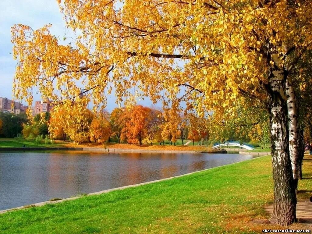 Диктант 8 кл. Ответы с конца сентября все сады пустели. Яблоневые станы станица ленинградская. Грамматические основы в сложных союзных предложениях. "антоновские яблоки".