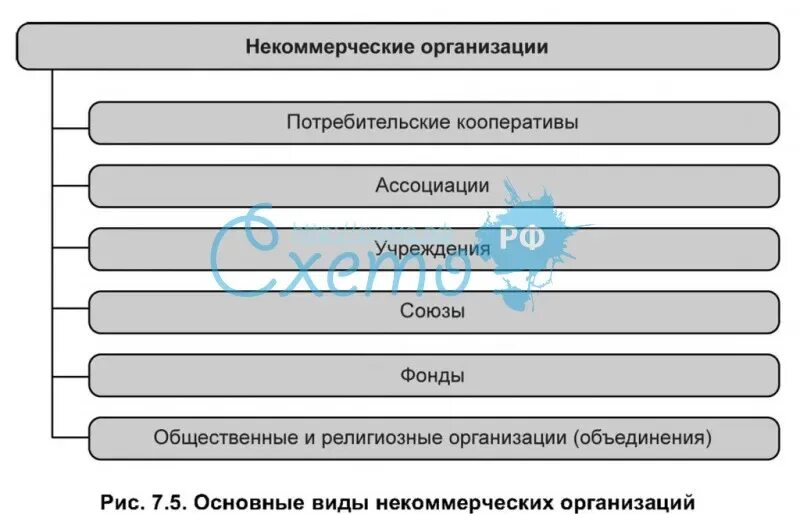 Схема виды некоммерческих юридических лиц. Виды некоммерческих организаций схема. Перечислите виды некоммерческих организаций.. Виды неправительственных организаций. Гк рф некоммерческие организации