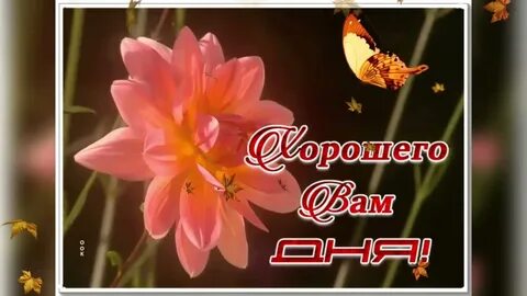 Добрый день работа отзывы