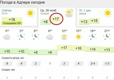 Погода в сочи 10 ноября 2024