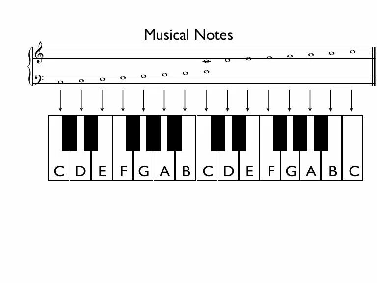 Abs notes