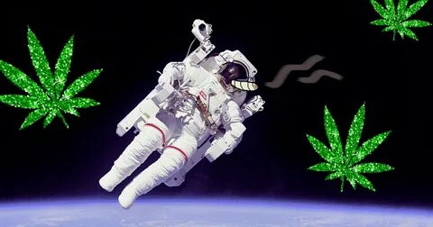 Space fall