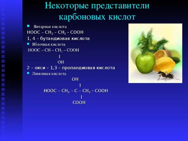 Самостоятельная карбоновые кислоты 10 класс. Некоторые представители карбоновых кислот. Яблочная карбоновая кислота. Карбоновые кислоты презентация 10 класс профильный уровень. Кислота содержится яблоко %.