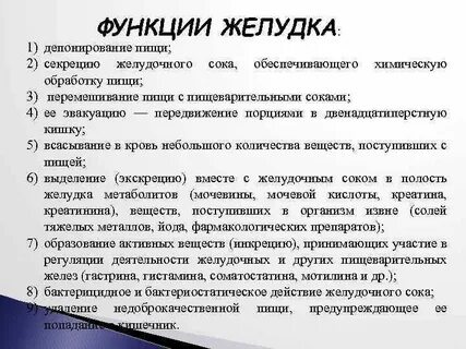 Действие желудка