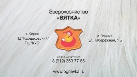 Вятка эко