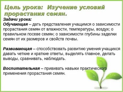 Развития проростка условия для прорастания семян